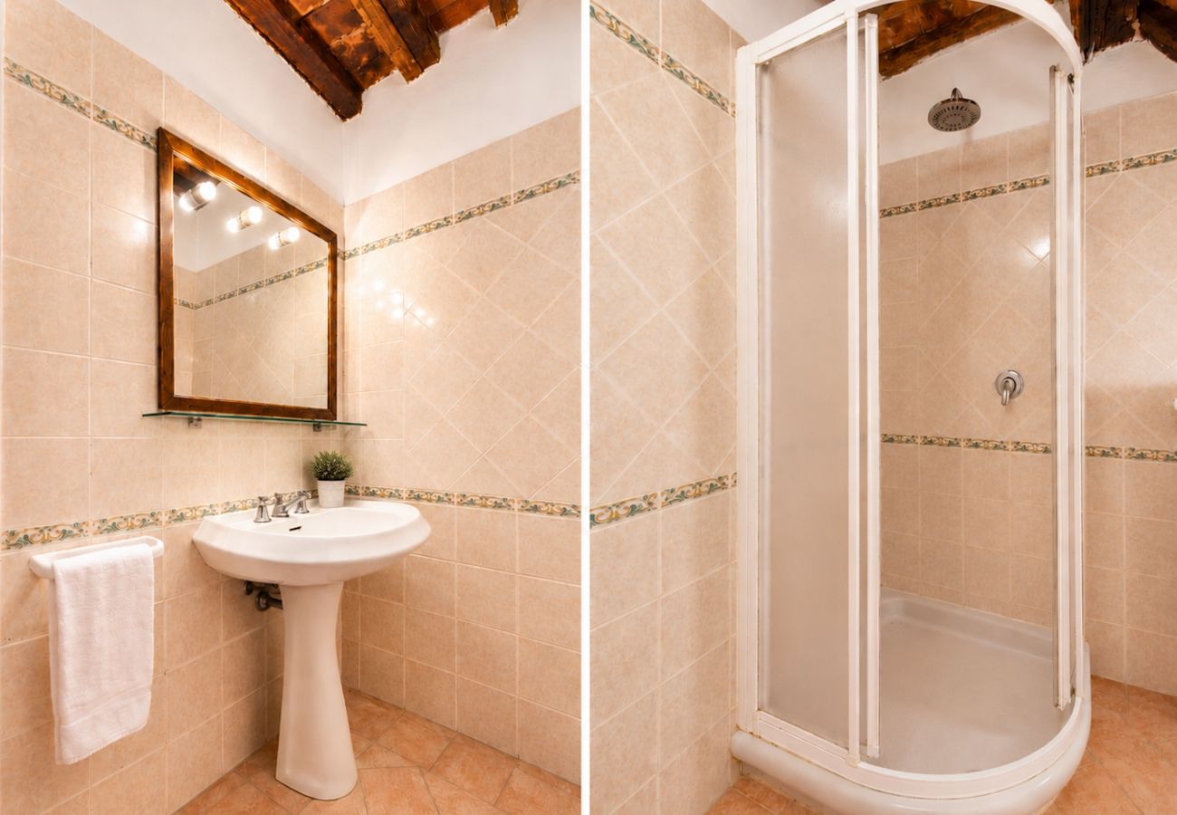 Appartement à Capannori - Tenuta Gaetano Spadaro, Leccino Apartment